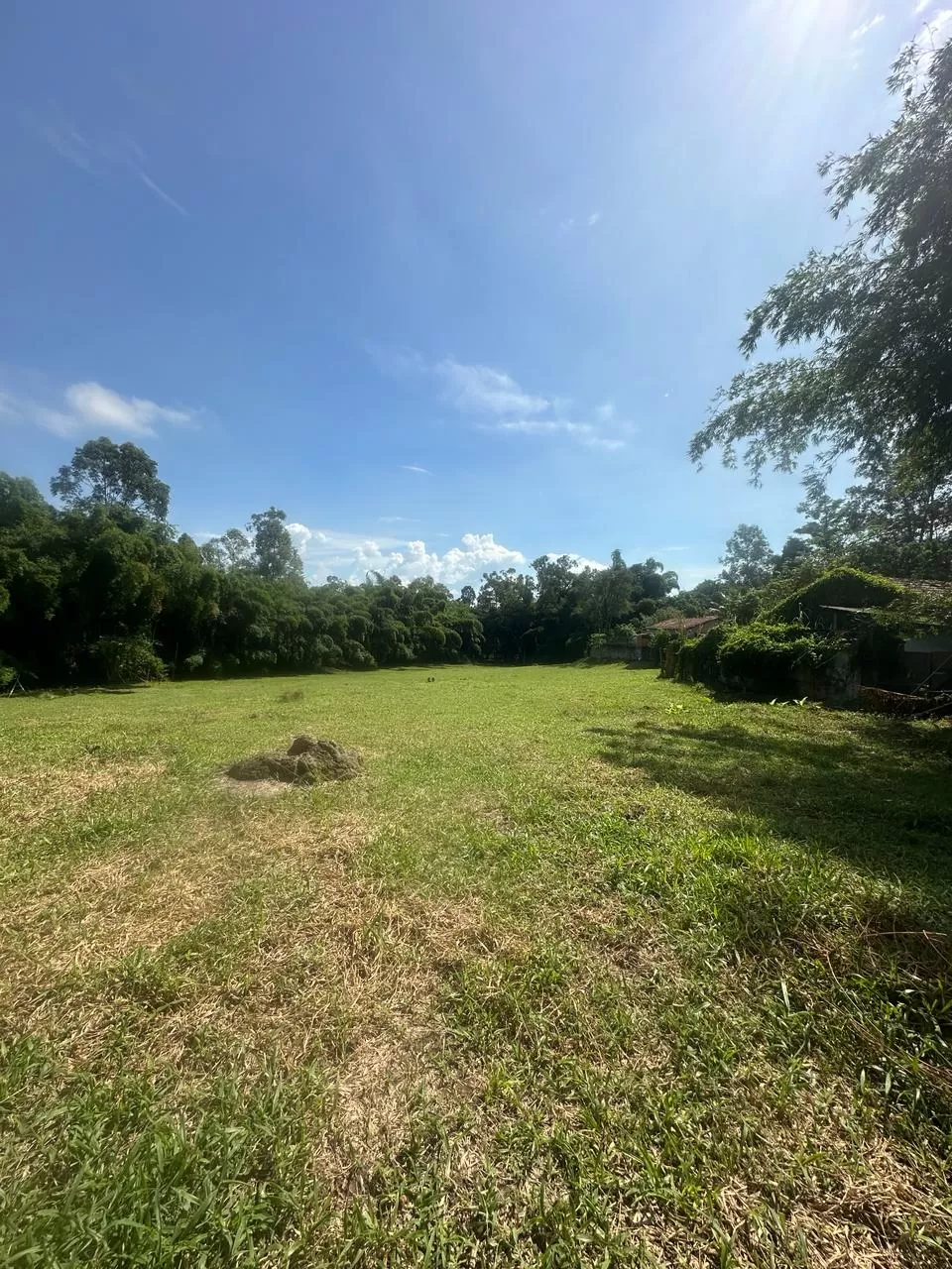 Terreno Plano na Vila São Benedito - Pindamonhangaba Terreno Plano na Vila São Benedito - Pindamonhangaba